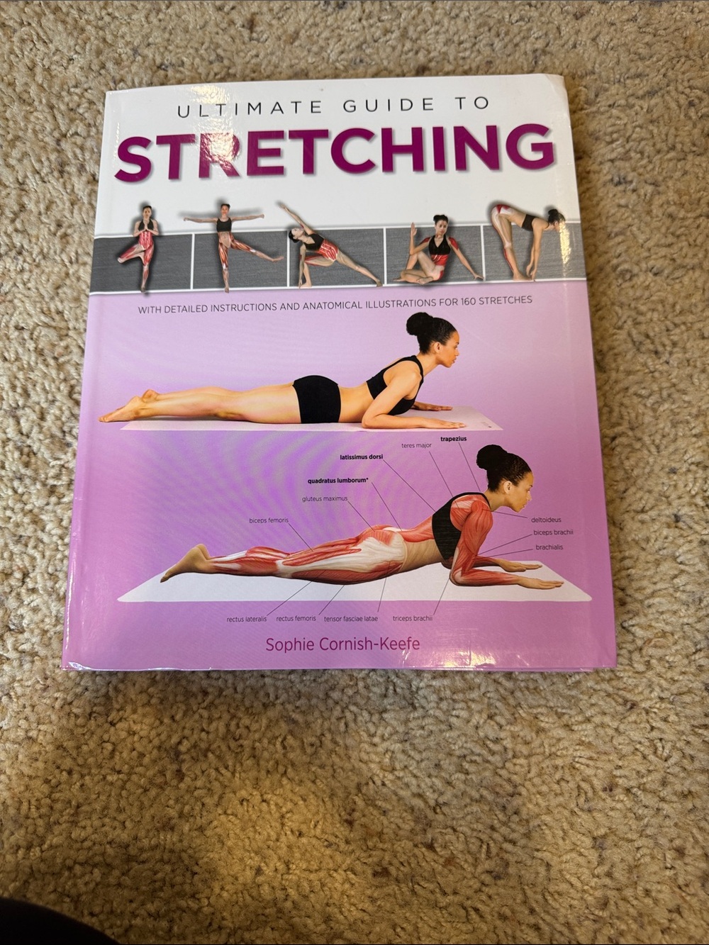 Ultimate Guide to Stretching Book
